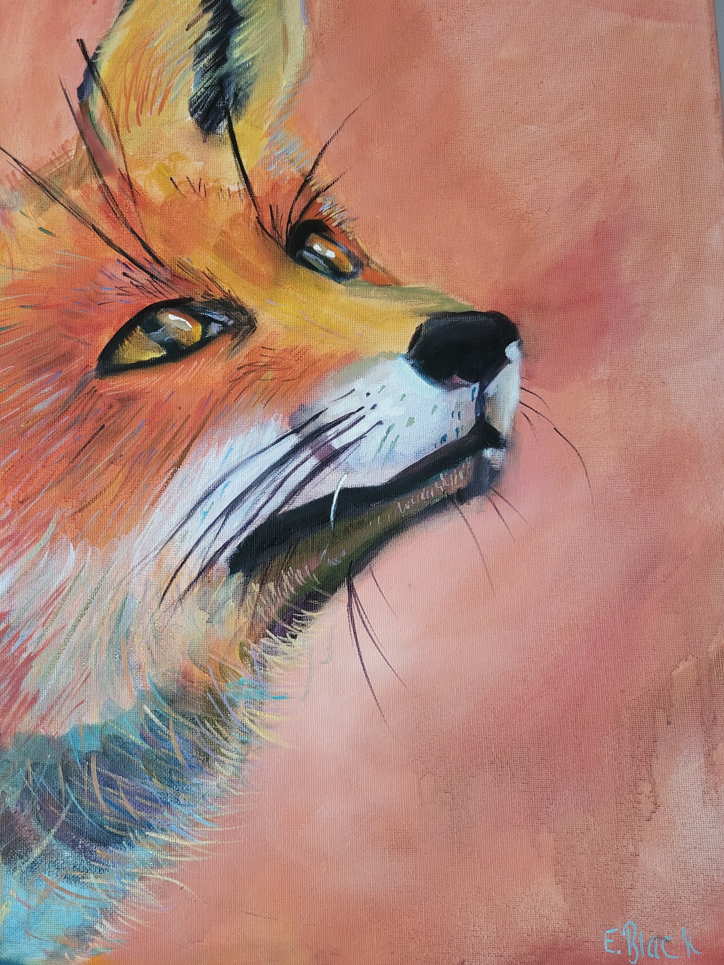 The Fox - Original Oil on a 50cm v 60cm Canvas
