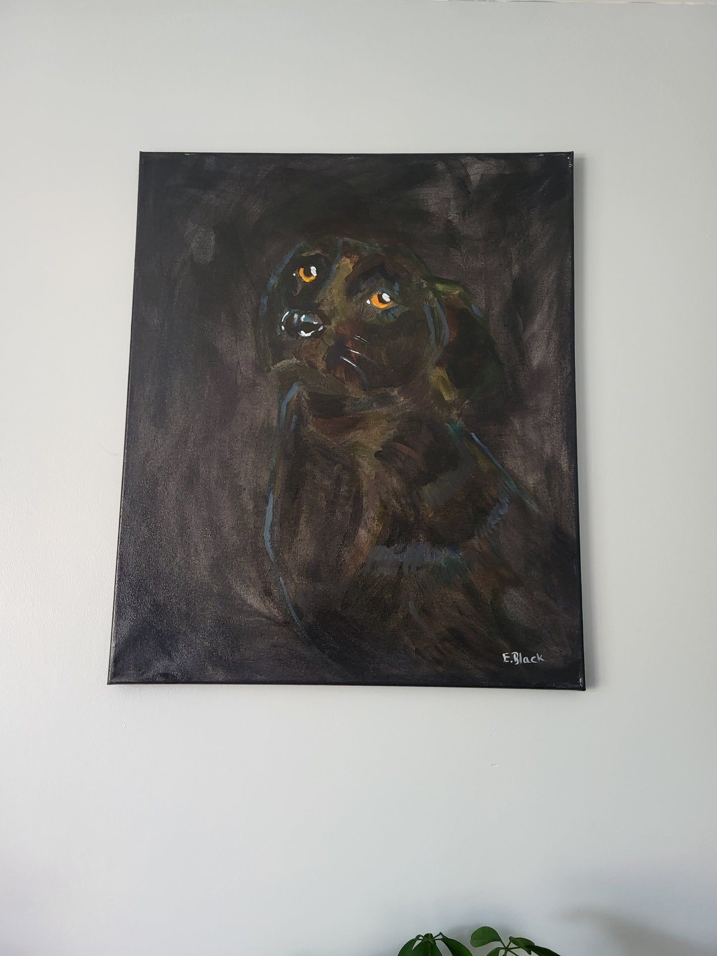Original Alla Prima - Black Labrador - Oil on 50cm x 60cm Canvas