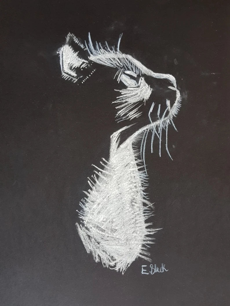 Cat Original Chalk Drawing on 59.4cm x 42cm Black Paper