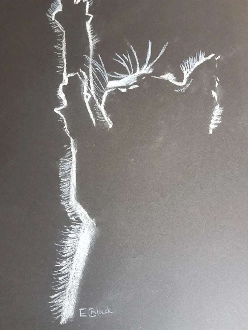 Original Chalk Drawing - Kitten on 59.4cm x 42cm Black Paper