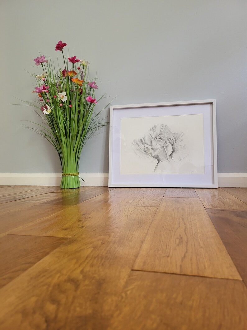 Original Pencil Drawing - The Rose on 49.7cm x 42cm Cartridge Paper