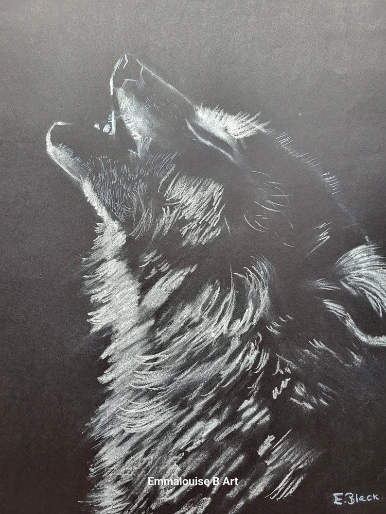 Wolf Original Chalk Drawing on 59.4cm x 42cm Black Paper