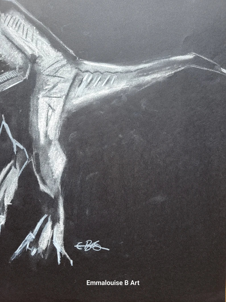 Velociraptor Original Chalk Drawing on 59.4cm x 42cm Black Paper
