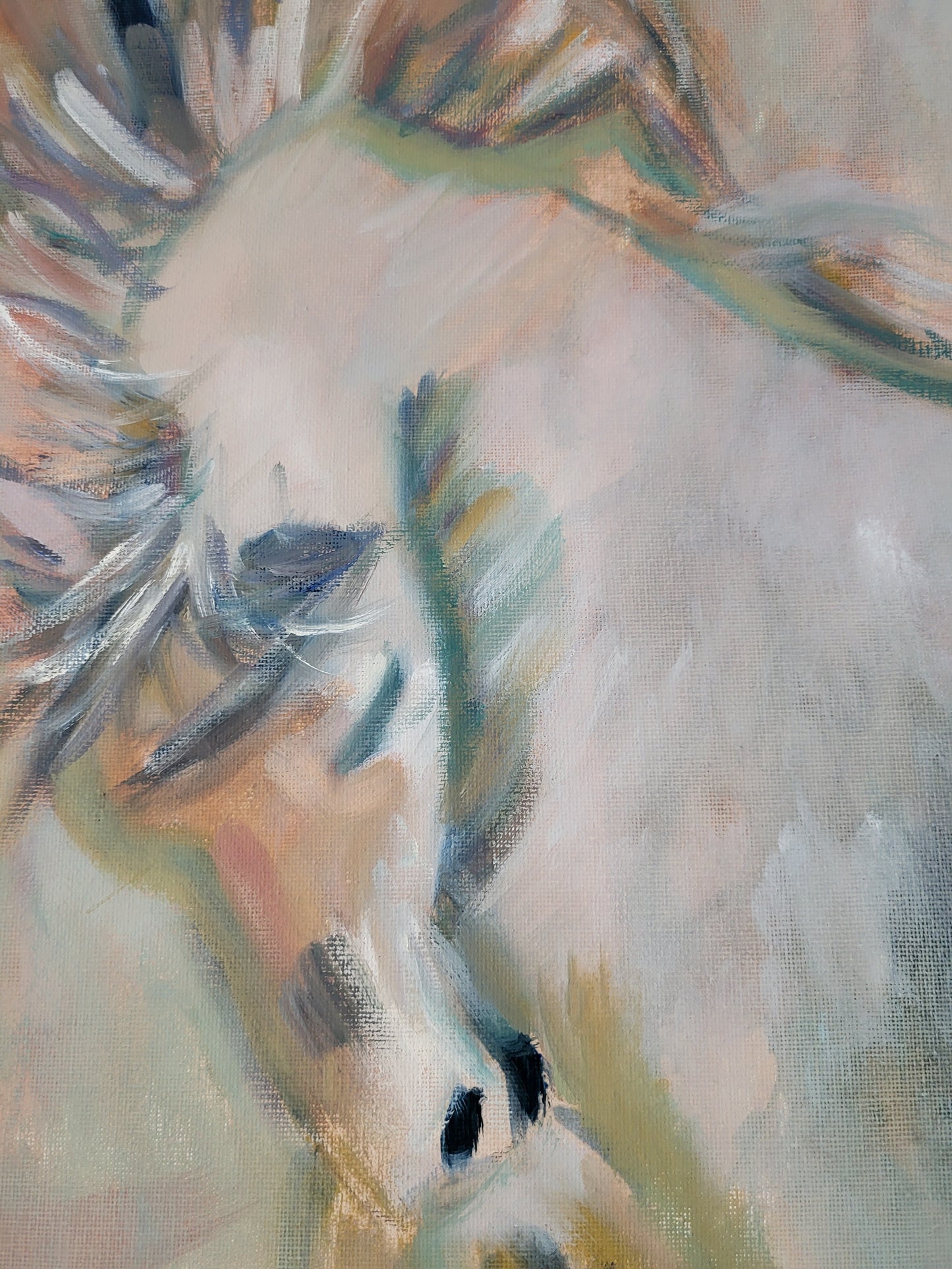 Original Alla Prima - Free Spirit - Oil on 30cm x 40cm Canvas