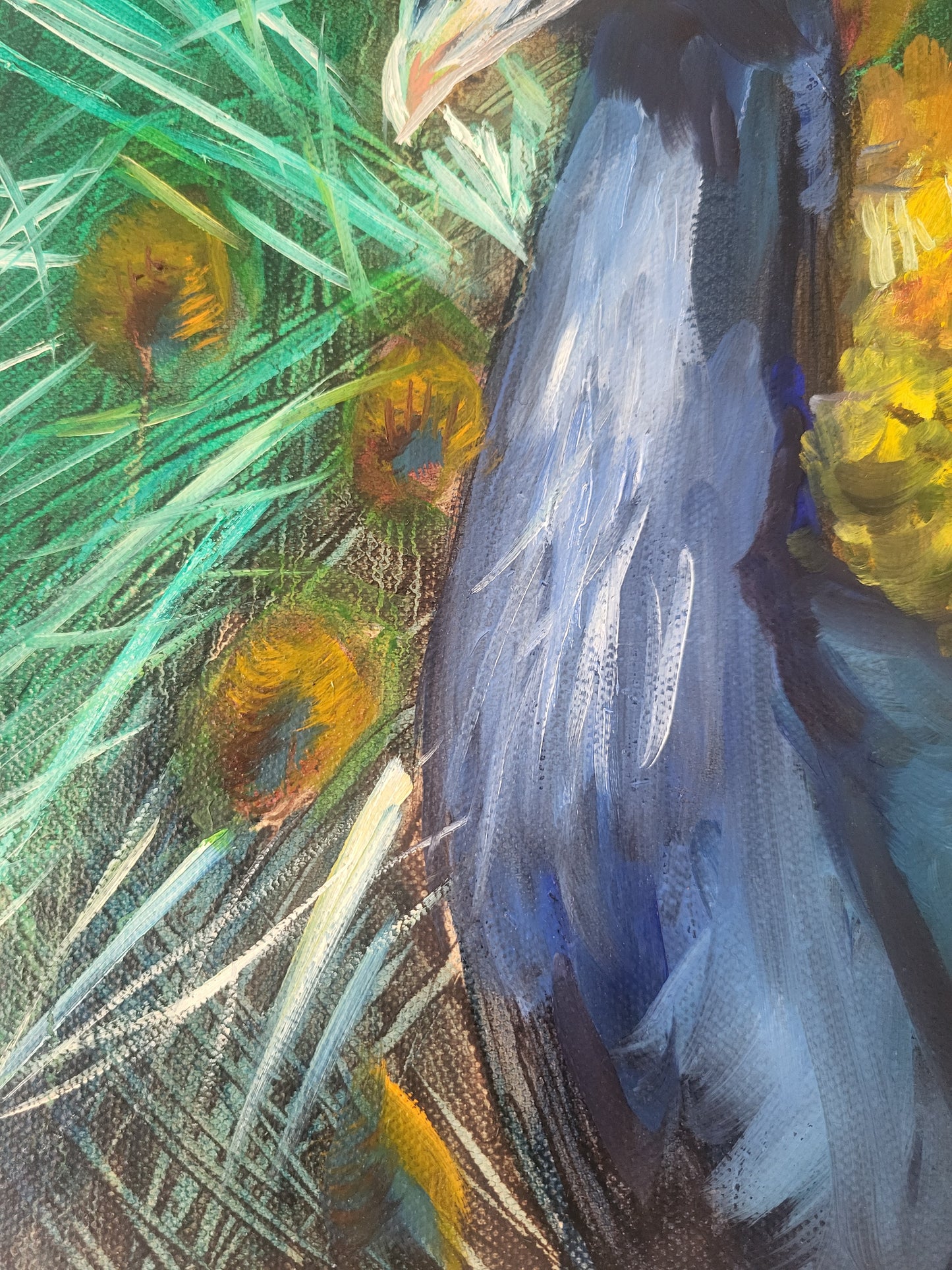 Peacock Oil Painting – Original Contemporary Vibrant Bird Wall Art on Canvas (16" x 12")