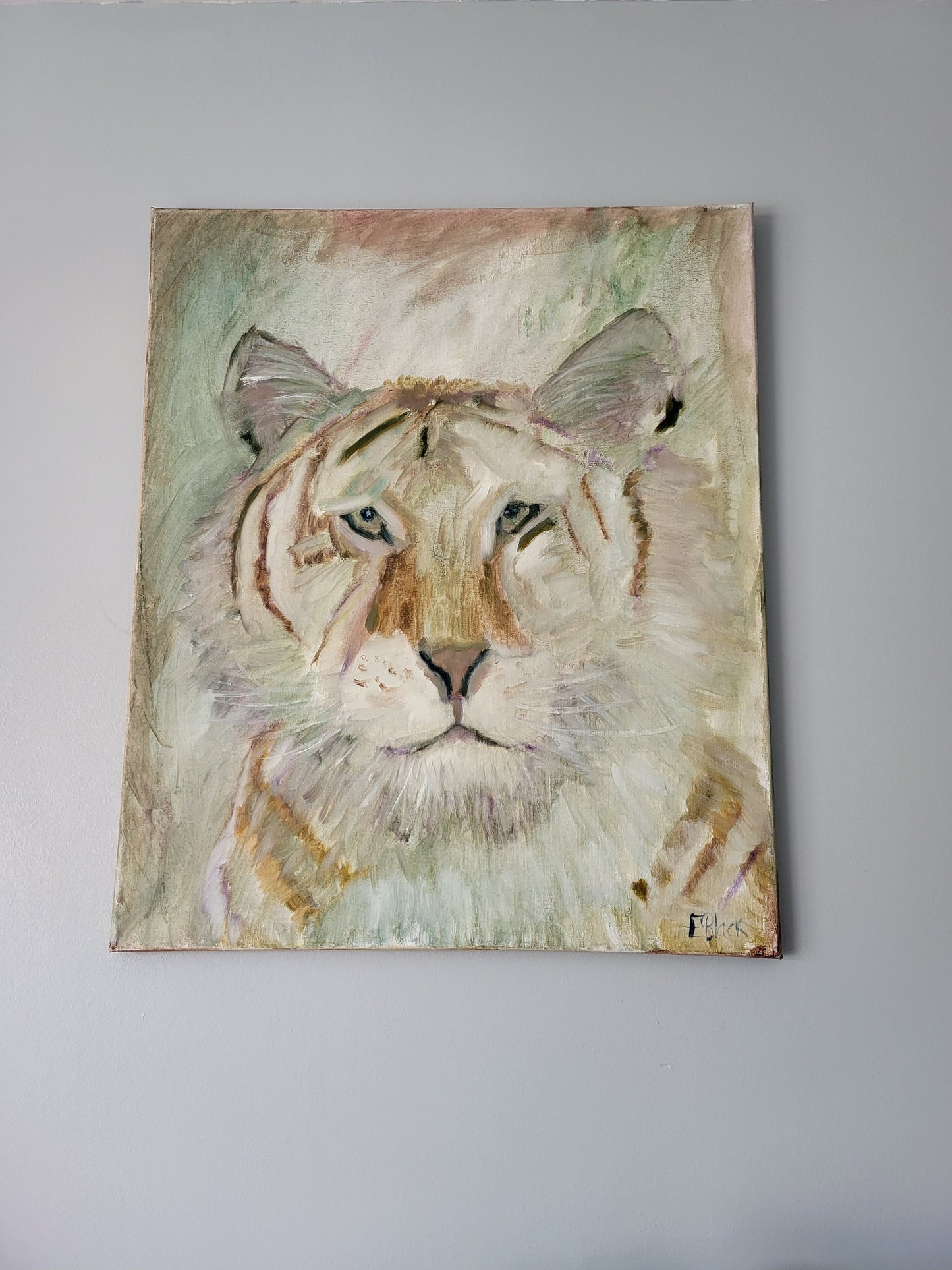 Tiger - Original Alla Prima Oil on 50cm x 60cm Canvas