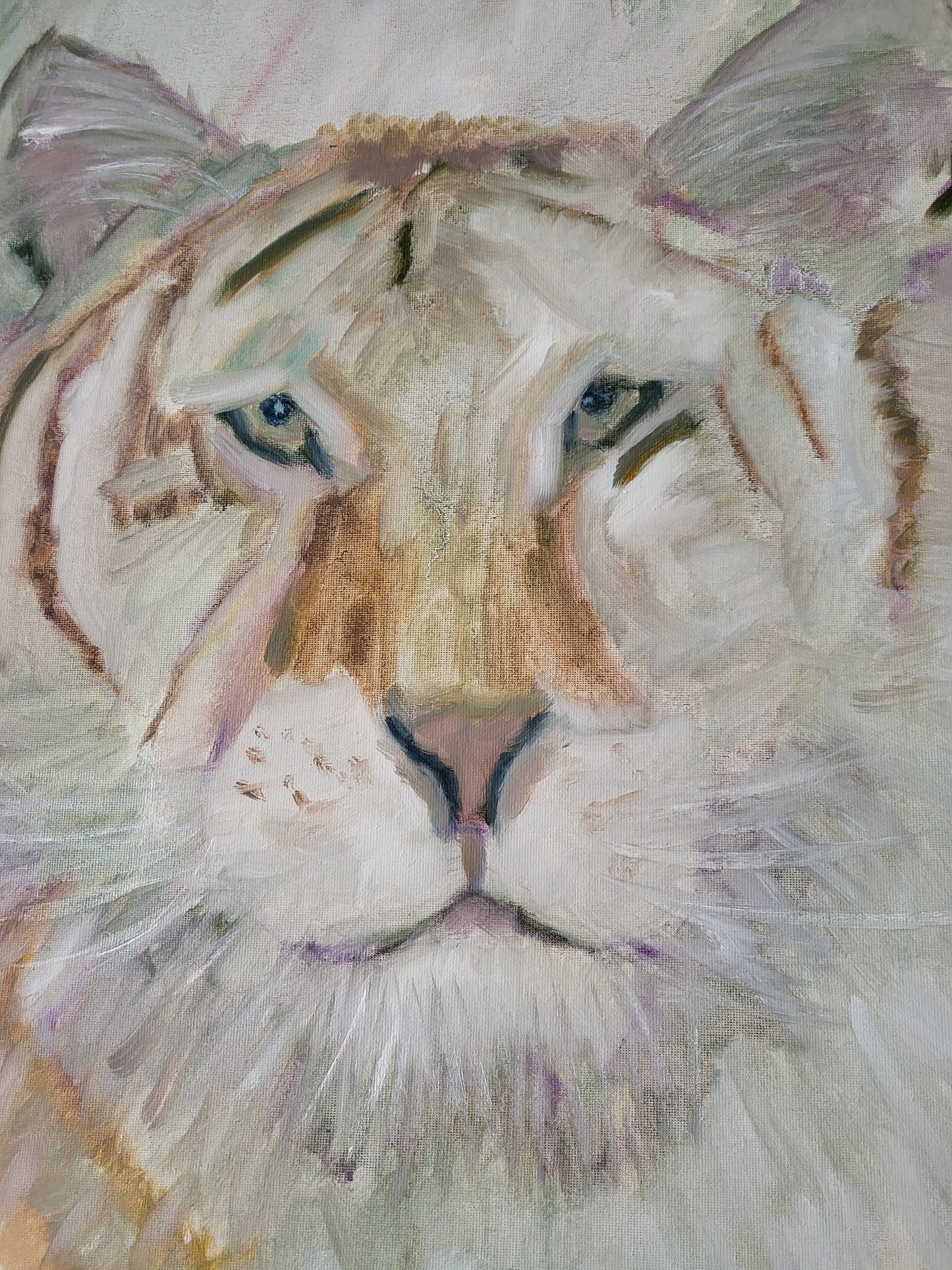 Tiger - Original Alla Prima Oil on 50cm x 60cm Canvas
