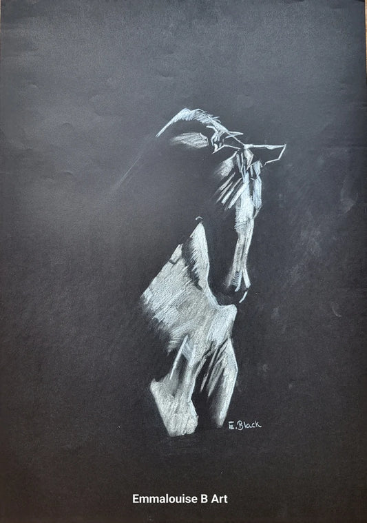 Original chalk drawing of a horse on black paper, signed by Emmalouise B Art.